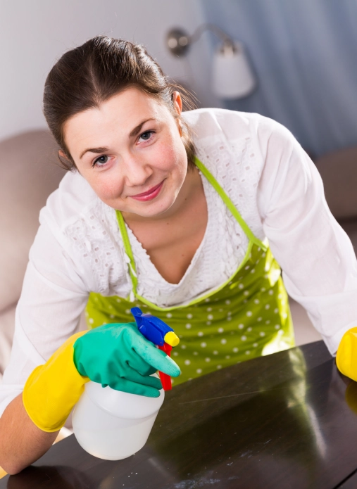 Cleaning Companies in Adelaide