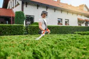 Professional Lawn Mowing Services in Adelaide