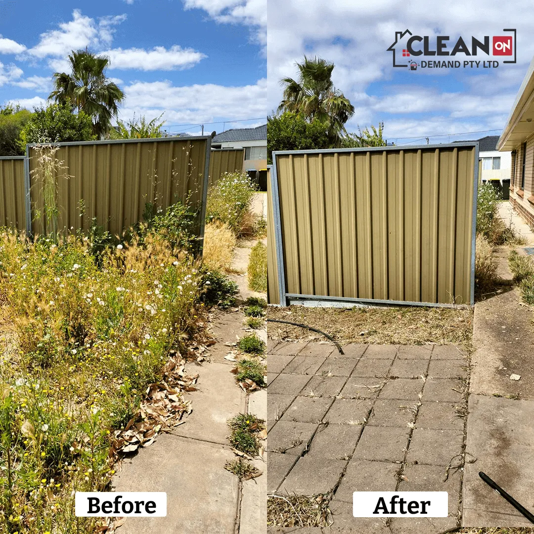 Adelaide Lawn Cleaning