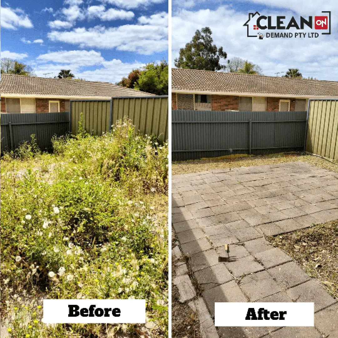 Lawn Cleaning Service Adelaide