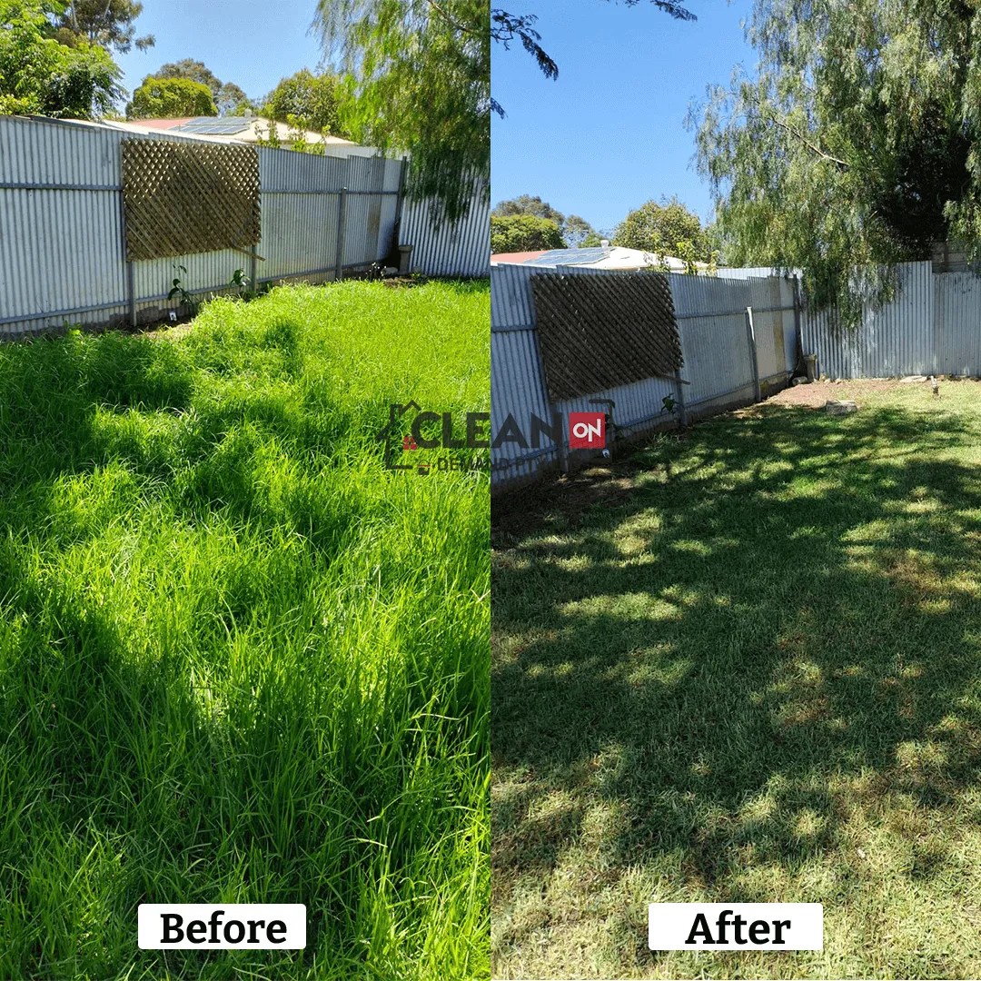 Lawn Cleaning Services Adelaide
