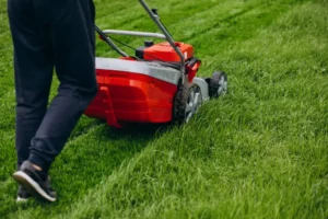 Professional lawn mowing service in Adelaide by Clean on Demand