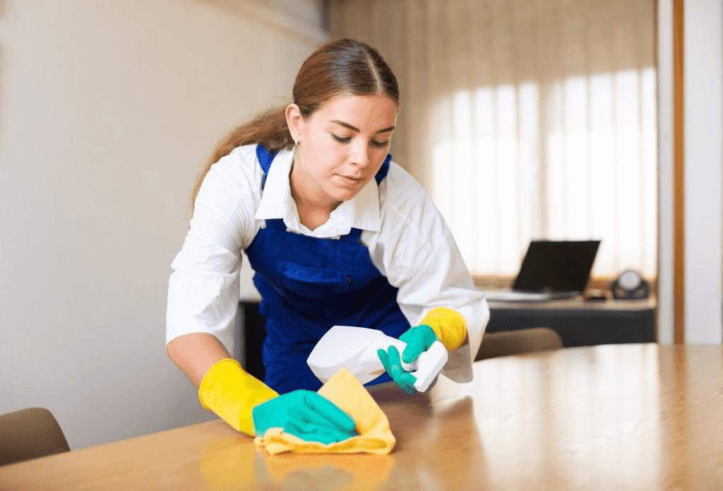 How a Professional Cleaner Can Transform Your Home and Your Life