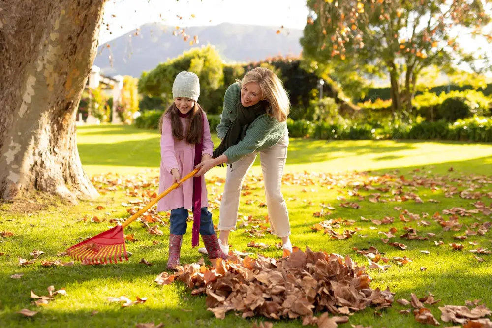 Professional Garden Cleanup Adelaide