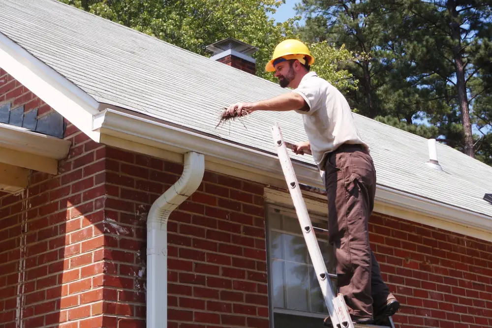 Professional cleaner clearing leaves from a home gutter in Adelaide