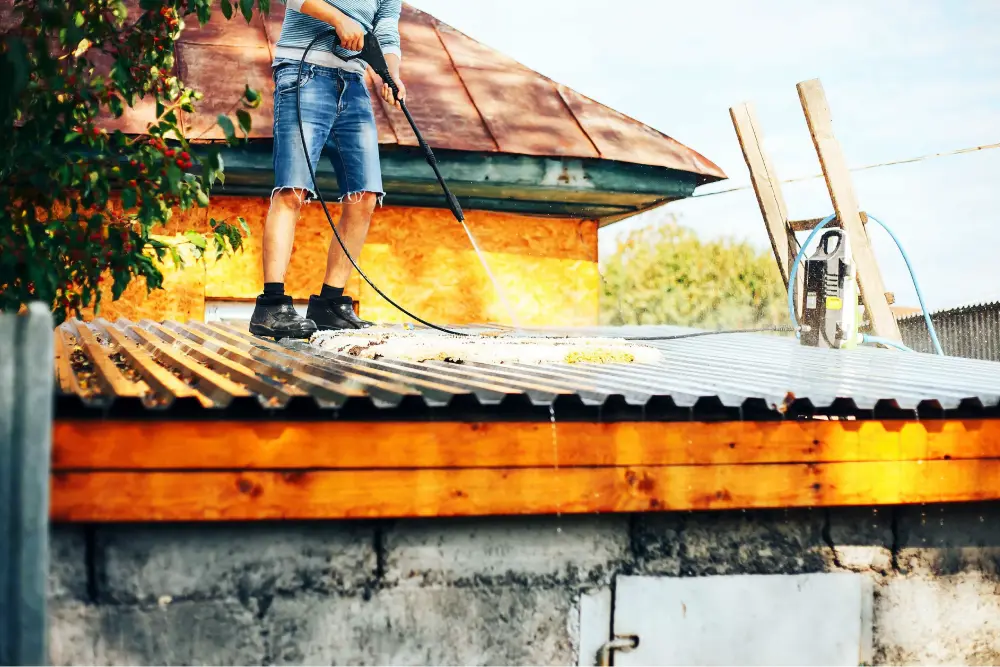 Professional cleaner removing debris from house gutters in Adelaide