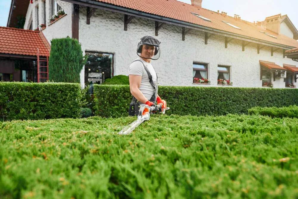 Professional Lawn Mowing Services in Adelaide